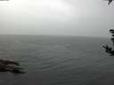 ./images/koeye/fitz-hugh/20180902/fitz-hugh20180902_075001.jpg