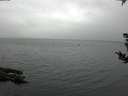 ./images/koeye/fitz-hugh/20180902/fitz-hugh20180902_080501.jpg