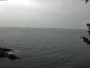 ./images/koeye/fitz-hugh/20180902/fitz-hugh20180902_081001.jpg