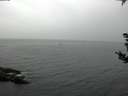./images/koeye/fitz-hugh/20180902/fitz-hugh20180902_081501.jpg