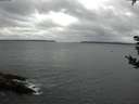 ./images/koeye/fitz-hugh/20180902/fitz-hugh20180902_094502.jpg