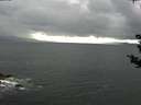 ./images/koeye/fitz-hugh/20180902/fitz-hugh20180902_163501.jpg
