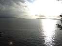 ./images/koeye/fitz-hugh/20180902/fitz-hugh20180902_184502.jpg