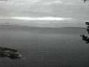 ./images/koeye/fitz-hugh/20180903/fitz-hugh20180903_060501.jpg