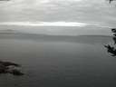 ./images/koeye/fitz-hugh/20180903/fitz-hugh20180903_061001.jpg