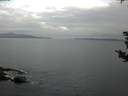 ./images/koeye/fitz-hugh/20180903/fitz-hugh20180903_074501.jpg