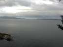 ./images/koeye/fitz-hugh/20180903/fitz-hugh20180903_080002.jpg