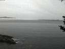 ./images/koeye/fitz-hugh/20180904/fitz-hugh20180904_061001.jpg