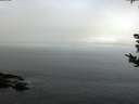 ./images/koeye/fitz-hugh/20180904/fitz-hugh20180904_093501.jpg