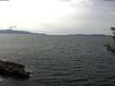 ./images/koeye/fitz-hugh/20180904/fitz-hugh20180904_142002.jpg