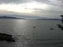 ./images/koeye/fitz-hugh/20180904/fitz-hugh20180904_164502.jpg