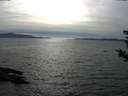 ./images/koeye/fitz-hugh/20180904/fitz-hugh20180904_170501.jpg