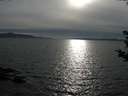 ./images/koeye/fitz-hugh/20180904/fitz-hugh20180904_175502.jpg