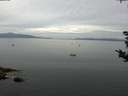 ./images/koeye/fitz-hugh/20180905/fitz-hugh20180905_103502.jpg