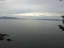 ./images/koeye/fitz-hugh/20180905/fitz-hugh20180905_104002.jpg