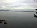 ./images/koeye/fitz-hugh/20180905/fitz-hugh20180905_110502.jpg