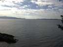 ./images/koeye/fitz-hugh/20180905/fitz-hugh20180905_150501.jpg