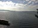 ./images/koeye/fitz-hugh/20180905/fitz-hugh20180905_154501.jpg