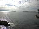 ./images/koeye/fitz-hugh/20180905/fitz-hugh20180905_160001.jpg