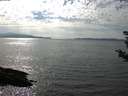 ./images/koeye/fitz-hugh/20180905/fitz-hugh20180905_160501.jpg