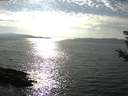 ./images/koeye/fitz-hugh/20180905/fitz-hugh20180905_165002.jpg