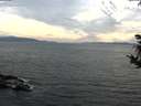 ./images/koeye/fitz-hugh/20180905/fitz-hugh20180905_185501.jpg