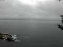 ./images/koeye/fitz-hugh/20180906/fitz-hugh20180906_091501.jpg