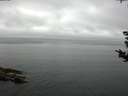 ./images/koeye/fitz-hugh/20180906/fitz-hugh20180906_092501.jpg