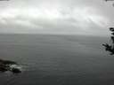 ./images/koeye/fitz-hugh/20180906/fitz-hugh20180906_093501.jpg