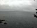 ./images/koeye/fitz-hugh/20180906/fitz-hugh20180906_100001.jpg