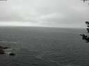 ./images/koeye/fitz-hugh/20180906/fitz-hugh20180906_103502.jpg