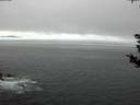 ./images/koeye/fitz-hugh/20180906/fitz-hugh20180906_111002.jpg