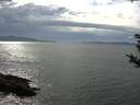 ./images/koeye/fitz-hugh/20180906/fitz-hugh20180906_155501.jpg