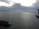 ./images/koeye/fitz-hugh/20180906/fitz-hugh20180906_165502.jpg