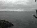./images/koeye/fitz-hugh/20180907/fitz-hugh20180907_062001.jpg