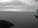 ./images/koeye/fitz-hugh/20180907/fitz-hugh20180907_062501.jpg