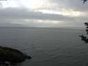 ./images/koeye/fitz-hugh/20180907/fitz-hugh20180907_075502.jpg