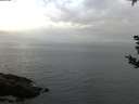 ./images/koeye/fitz-hugh/20180907/fitz-hugh20180907_081502.jpg