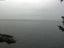 ./images/koeye/fitz-hugh/20180907/fitz-hugh20180907_091501.jpg