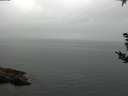 ./images/koeye/fitz-hugh/20180907/fitz-hugh20180907_092001.jpg