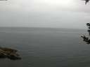 ./images/koeye/fitz-hugh/20180907/fitz-hugh20180907_092501.jpg