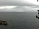 ./images/koeye/fitz-hugh/20180907/fitz-hugh20180907_095001.jpg