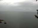 ./images/koeye/fitz-hugh/20180907/fitz-hugh20180907_105002.jpg
