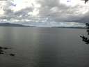 ./images/koeye/fitz-hugh/20180907/fitz-hugh20180907_111502.jpg