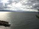 ./images/koeye/fitz-hugh/20180907/fitz-hugh20180907_161501.jpg