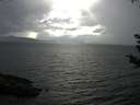 ./images/koeye/fitz-hugh/20180907/fitz-hugh20180907_164502.jpg