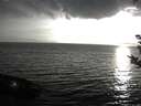 ./images/koeye/fitz-hugh/20180907/fitz-hugh20180907_191001.jpg