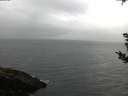 ./images/koeye/fitz-hugh/20180908/fitz-hugh20180908_075502.jpg