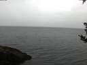 ./images/koeye/fitz-hugh/20180908/fitz-hugh20180908_081002.jpg