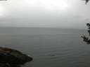 ./images/koeye/fitz-hugh/20180908/fitz-hugh20180908_082002.jpg